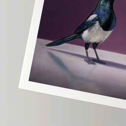 Magpie & Queen of the Night Tulips • Fine Art Print