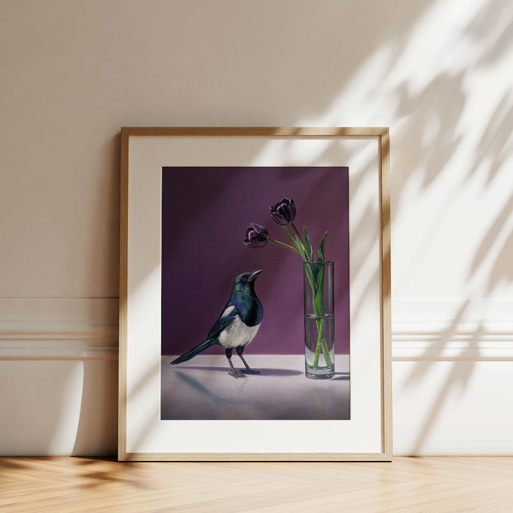 Magpie & Queen of the Night Tulips • Fine Art Print