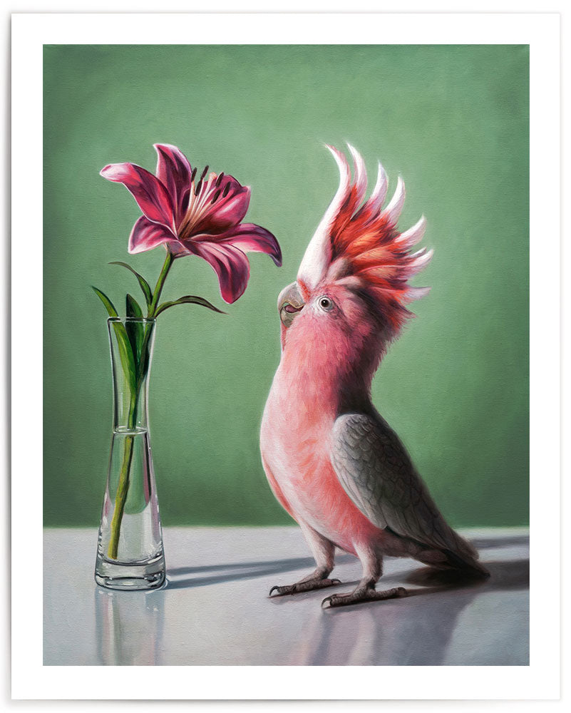 Pink Cockatoo & Lilies • Fine Art Print