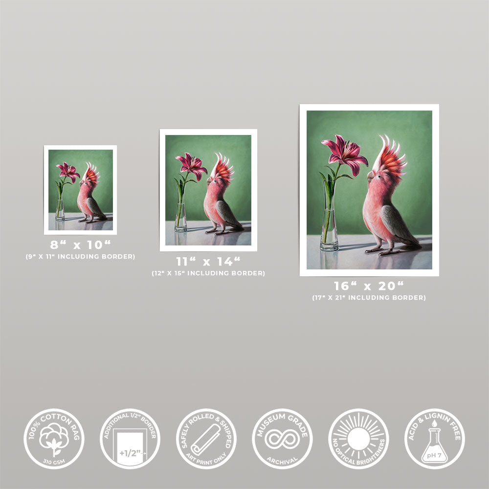 Pink Cockatoo & Lilies • Fine Art Print