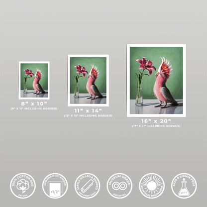 Pink Cockatoo & Lilies • Fine Art Print