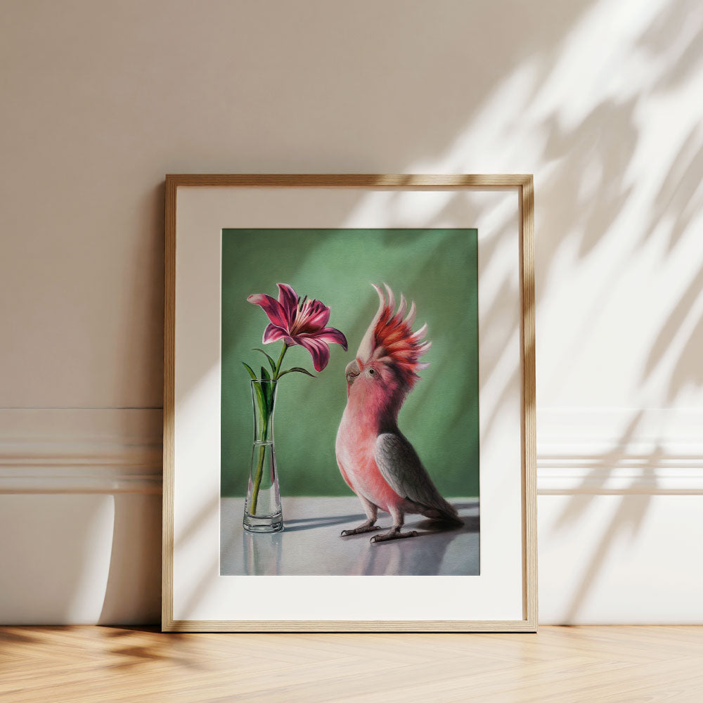 Pink Cockatoo & Lilies • Fine Art Print