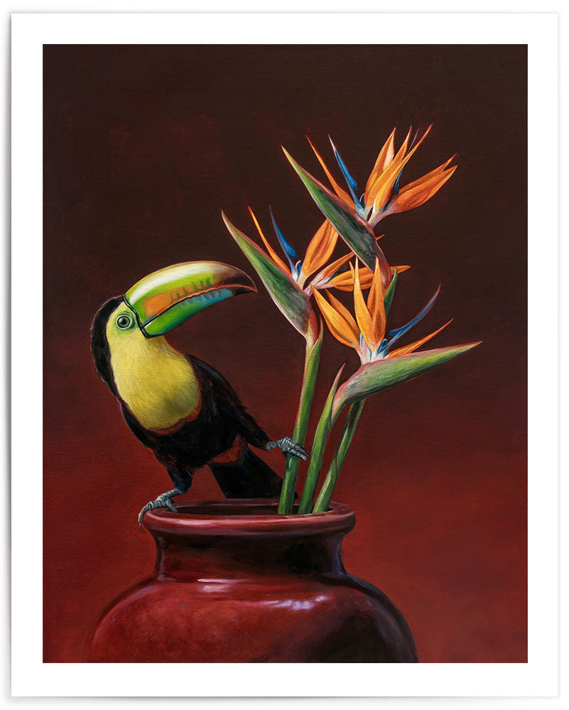 Keel-billed Toucan & Bird of Paradise • Fine Art Print