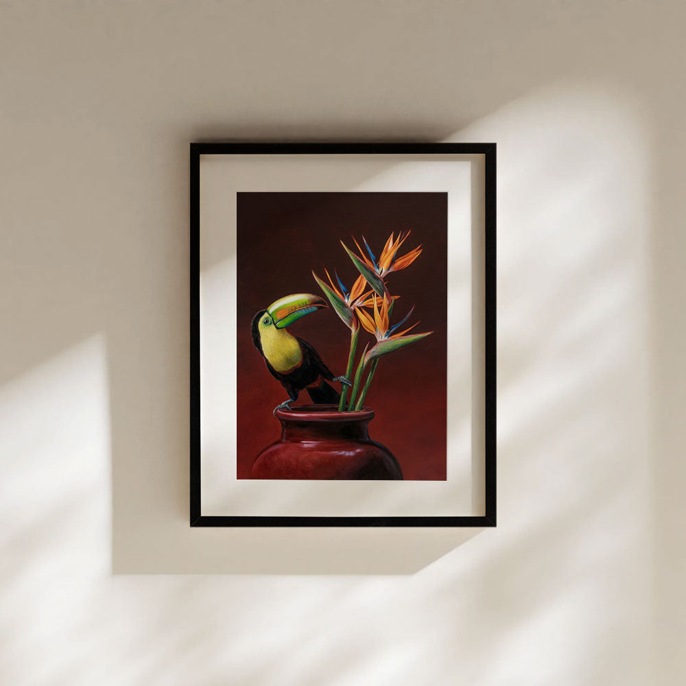 Keel-billed Toucan & Bird of Paradise • Fine Art Print