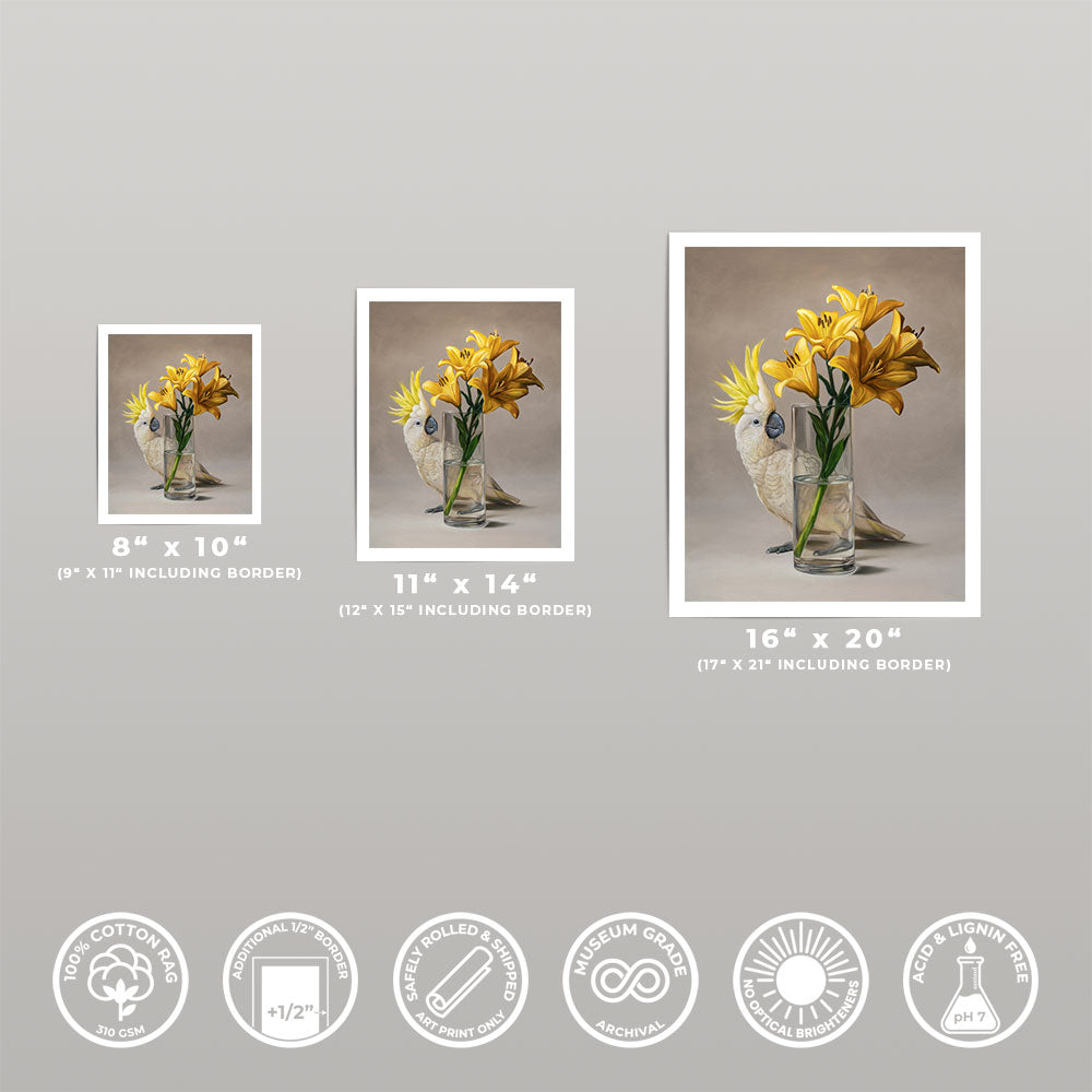 Sulphur-crested Cockatoo & Lilies • Fine Art Print
