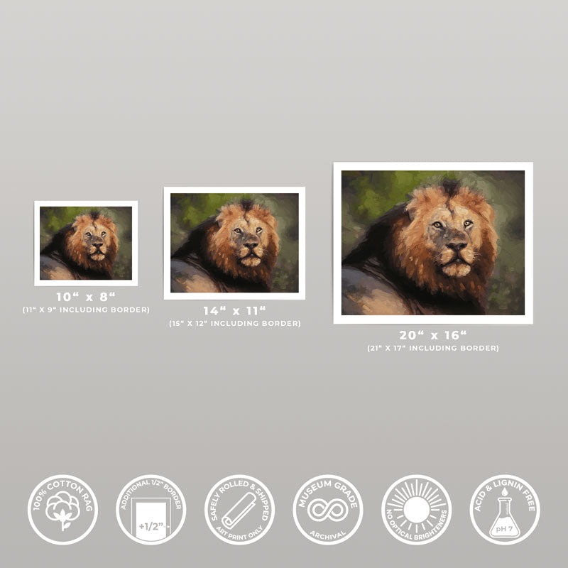 Three sizes of a South Shishangeni lion oil painting print on cotton rag paper with half-inch white borders and quality icons.