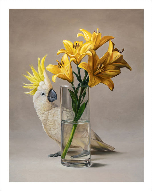 Sulphur-crested Cockatoo & Lilies • Fine Art Print
