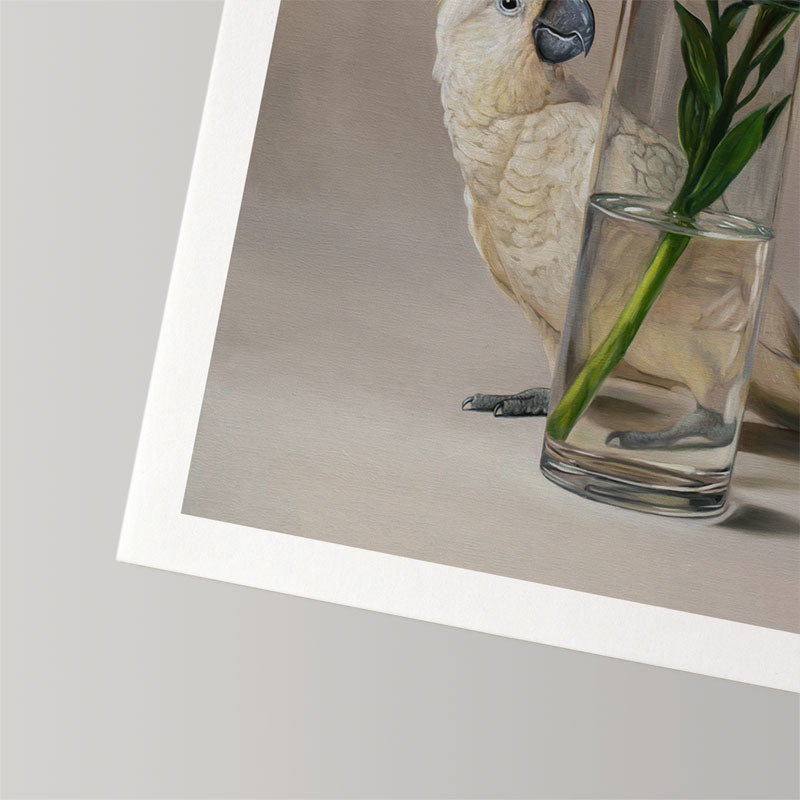 Fine art print of a Sulphur-crested cockatoo and lilies in a glass vase on textured cotton rag paper with a white border.
