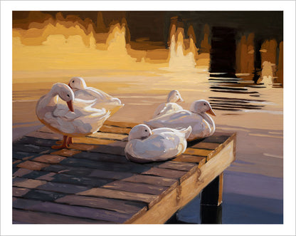 Fine art print of white ducks resting on a wooden dock at sunset with warm golden light reflecting on the water.