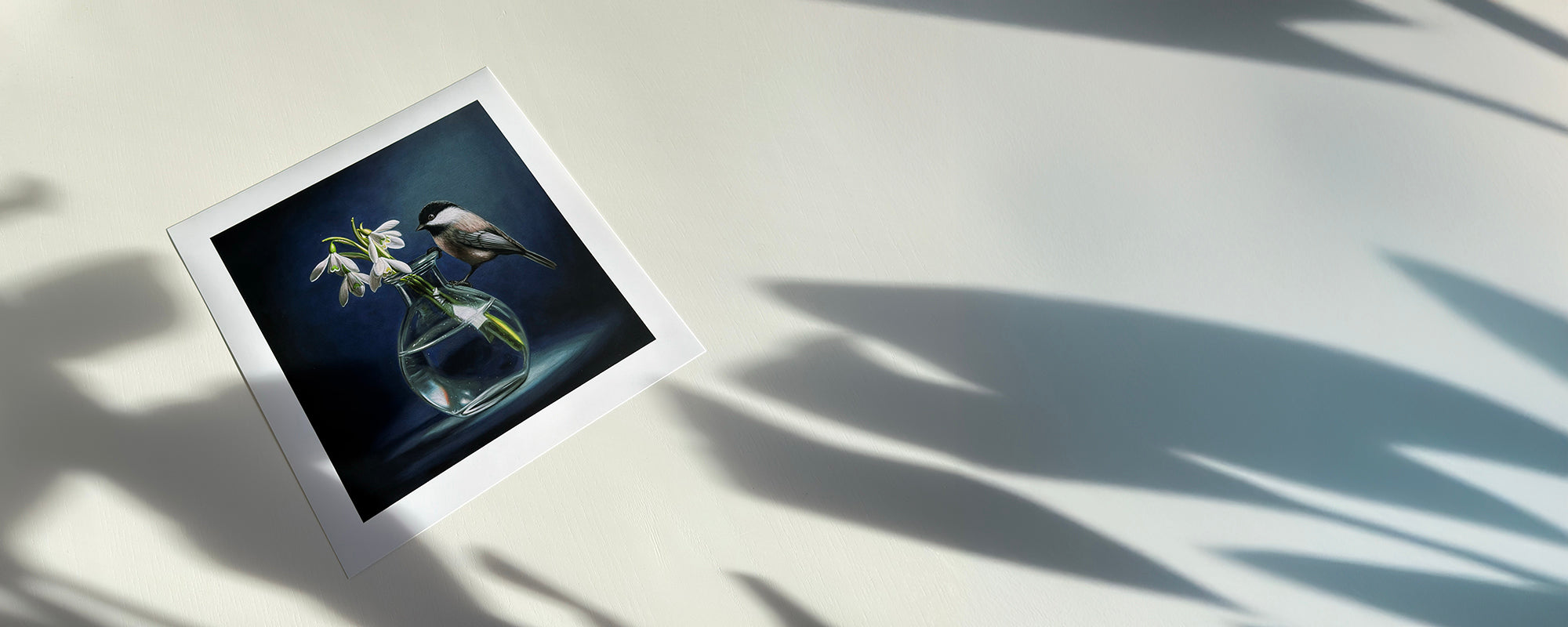 Framed artwork of a bird and plant on a light surface with shadows