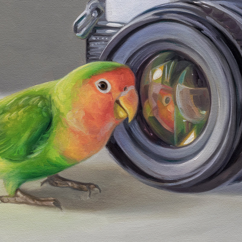 Lovebirds & Camera 14" x 11" Original Oil Painting by Lauren Pretorius: two lovebirds interacting with an old-fashioned camera on a neutral background