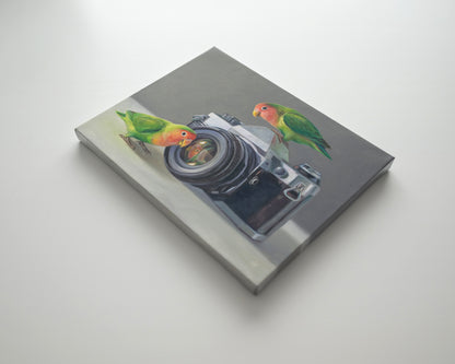 Lovebirds & Camera 14" x 11" Original Oil Painting by Lauren Pretorius: two lovebirds interacting with an old-fashioned camera on a neutral background