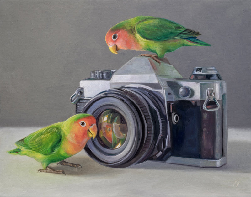 Lovebirds & Camera 14" x 11" Original Oil Painting by Lauren Pretorius: two lovebirds interacting with an old-fashioned camera on a neutral background