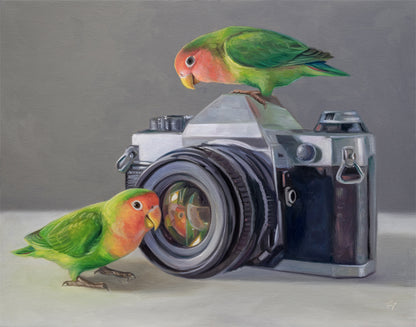 Lovebirds & Camera 14" x 11" Original Oil Painting by Lauren Pretorius: two lovebirds interacting with an old-fashioned camera on a neutral background