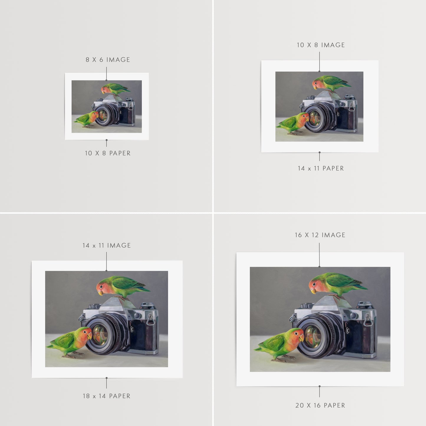 Lovebirds & Camera Fine Art Print by Lauren Pretorius: two lovebirds interacting with an old-fashioned camera on a neutral background
