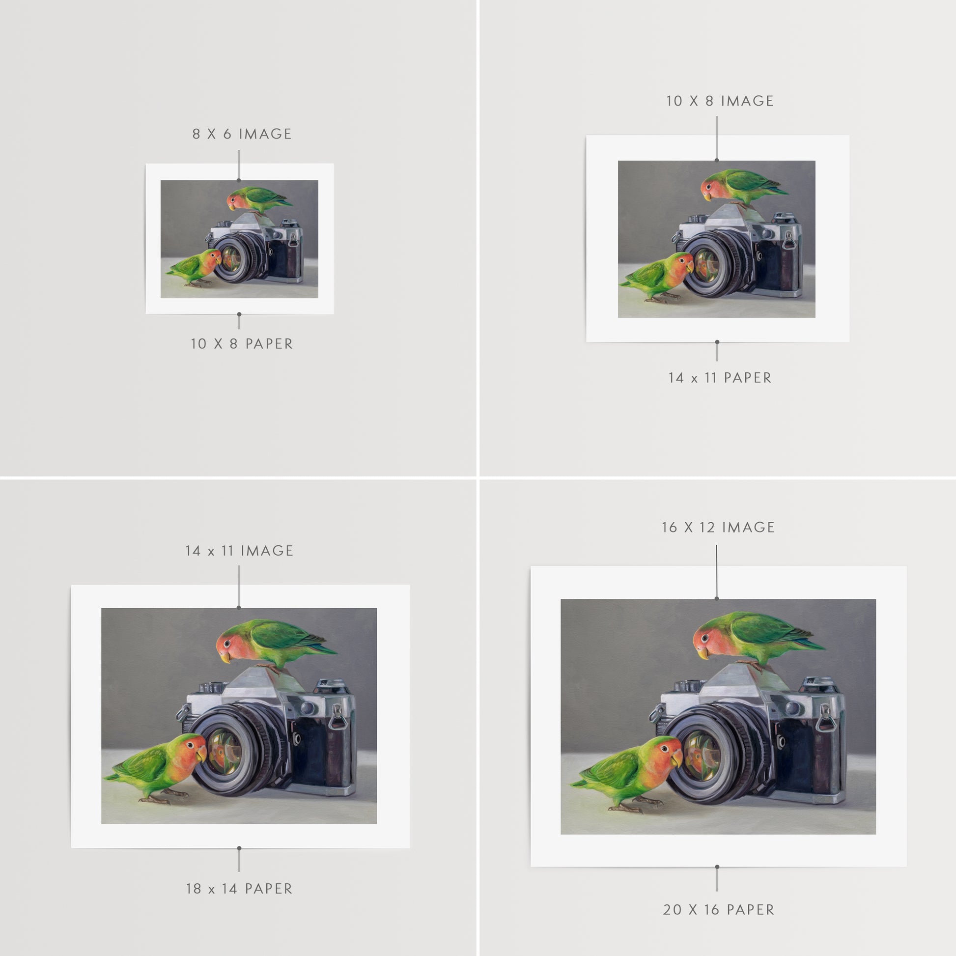 Lovebirds & Camera Fine Art Print by Lauren Pretorius: two lovebirds interacting with an old-fashioned camera on a neutral background