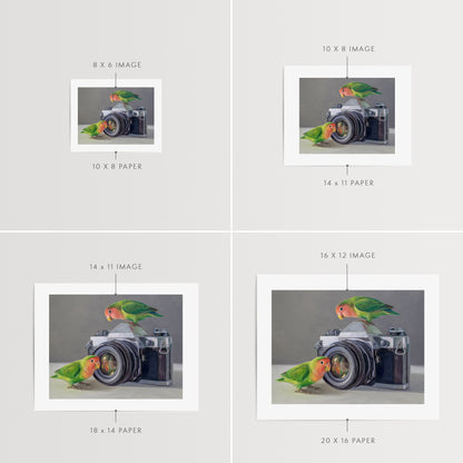 Lovebirds & Camera Fine Art Print by Lauren Pretorius: two lovebirds interacting with an old-fashioned camera on a neutral background