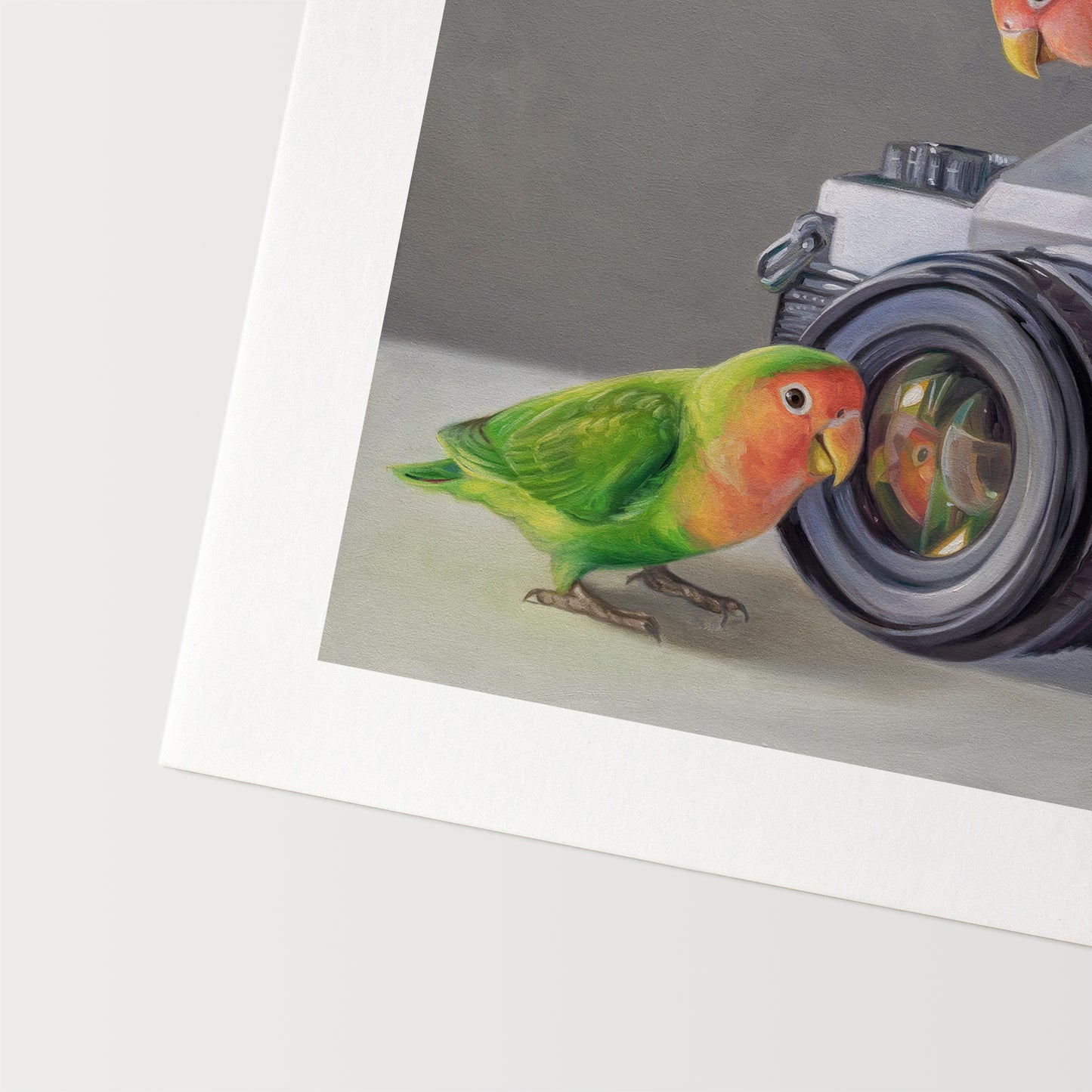 Lovebirds & Camera Fine Art Print by Lauren Pretorius: two lovebirds interacting with an old-fashioned camera on a neutral background