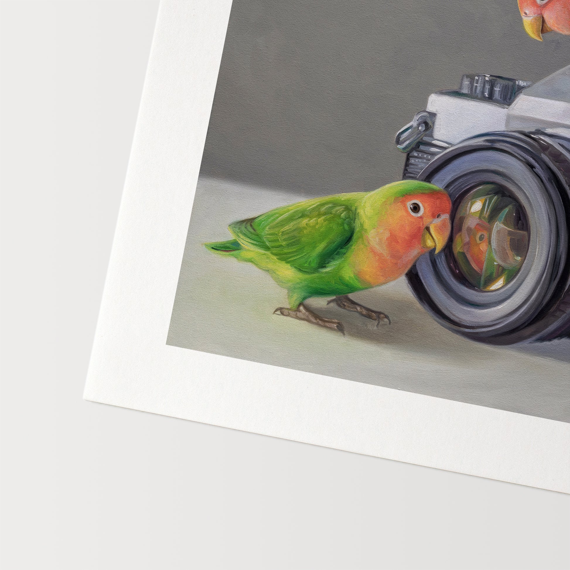 Lovebirds & Camera Fine Art Print by Lauren Pretorius: two lovebirds interacting with an old-fashioned camera on a neutral background