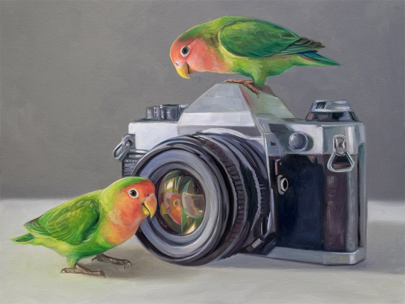 Lovebirds & Camera Fine Art Print by Lauren Pretorius: two lovebirds interacting with an old-fashioned camera on a neutral background