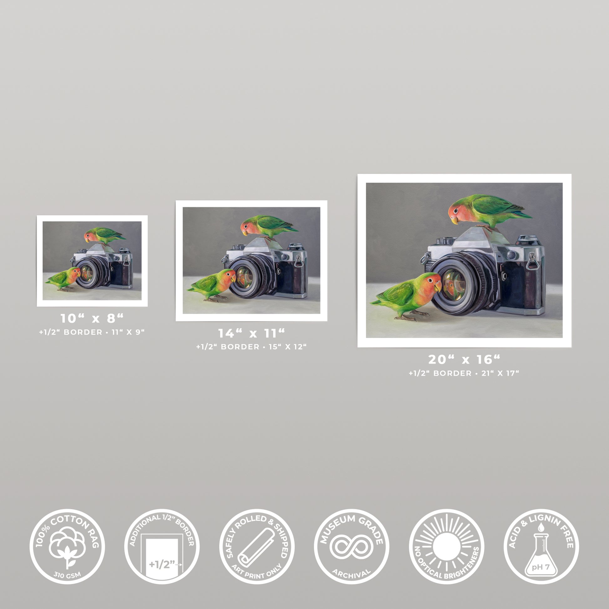 Three fine art prints of lovebirds on a vintage camera, available in 10x8, 14x11, and 20x16 inches.