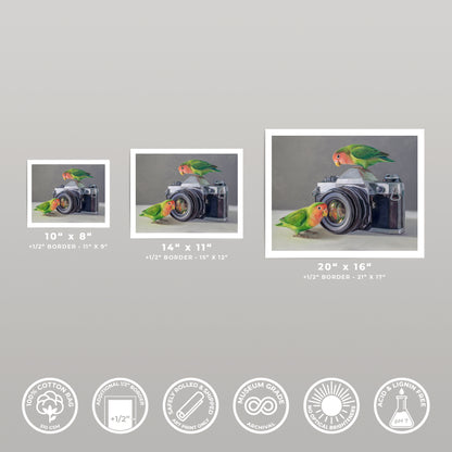 Three fine art prints of lovebirds on a vintage camera, available in 10x8, 14x11, and 20x16 inches.