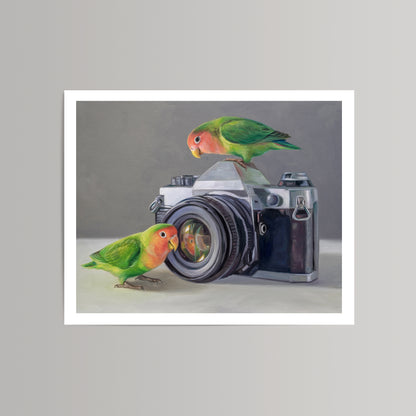 Vibrant fine art print of two green and pink lovebirds on a vintage silver and black camera.