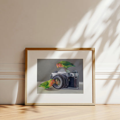 Framed fine art print of two colorful lovebirds on a vintage camera, with a white mat and wood frame.