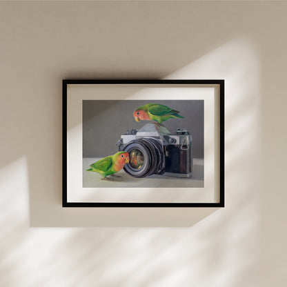 Framed fine art print of two green and pink lovebirds on a vintage camera.
