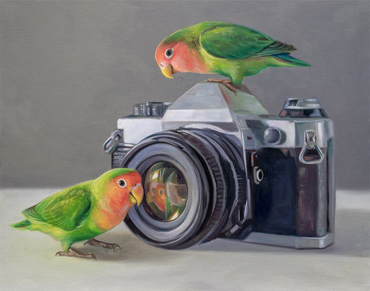 Vibrant lovebirds, one perched on a vintage camera, the other looking into its lens, on a gray background.