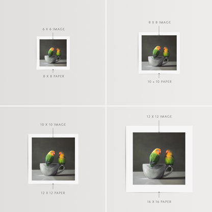 Lovebirds & Porcelain Cup Fine Art Print by Lauren Pretorius: a pair of Fischer’s Lovebirds perched on a white porcelain cup.
