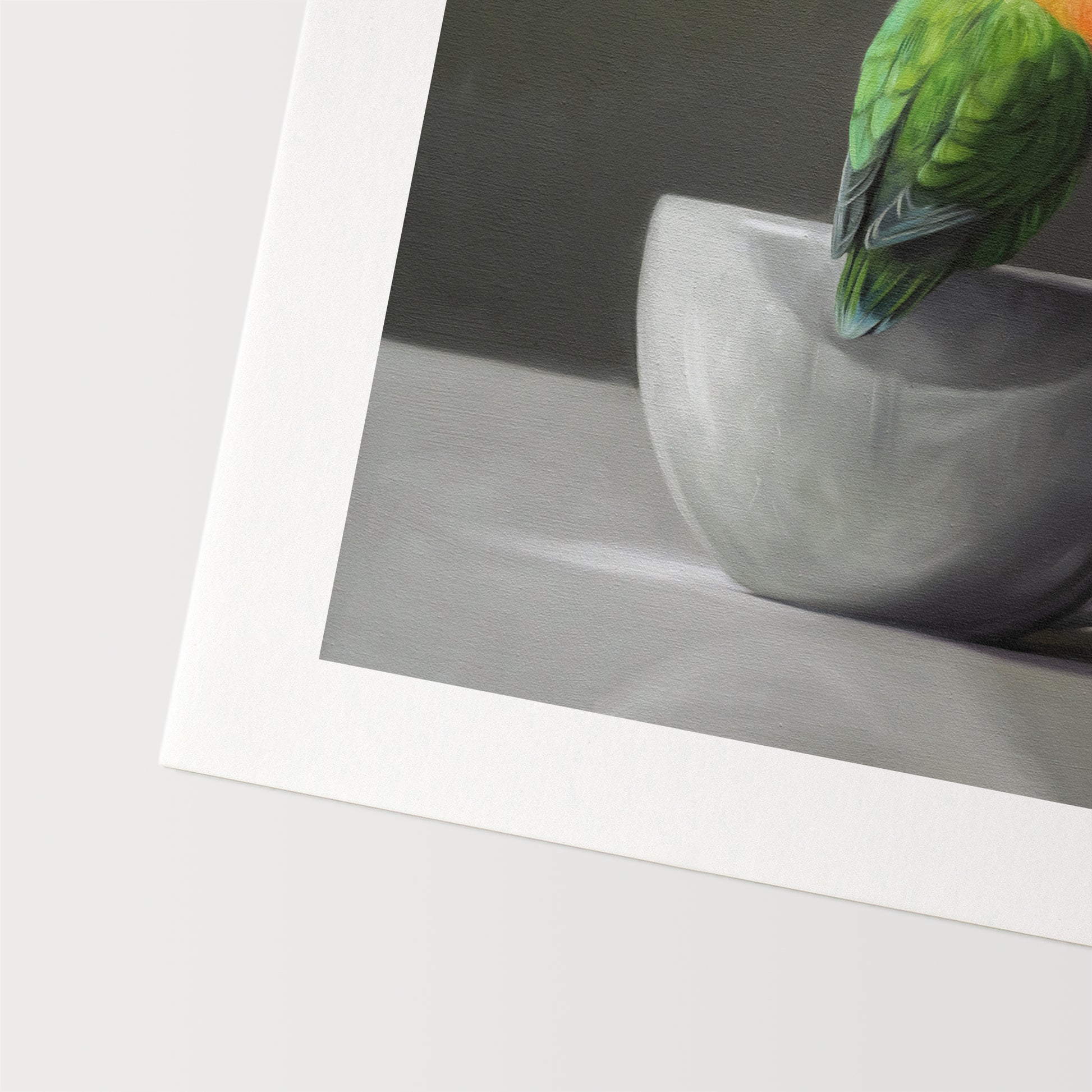 Lovebirds & Porcelain Cup Fine Art Print by Lauren Pretorius: a pair of Fischer’s Lovebirds perched on a white porcelain cup.