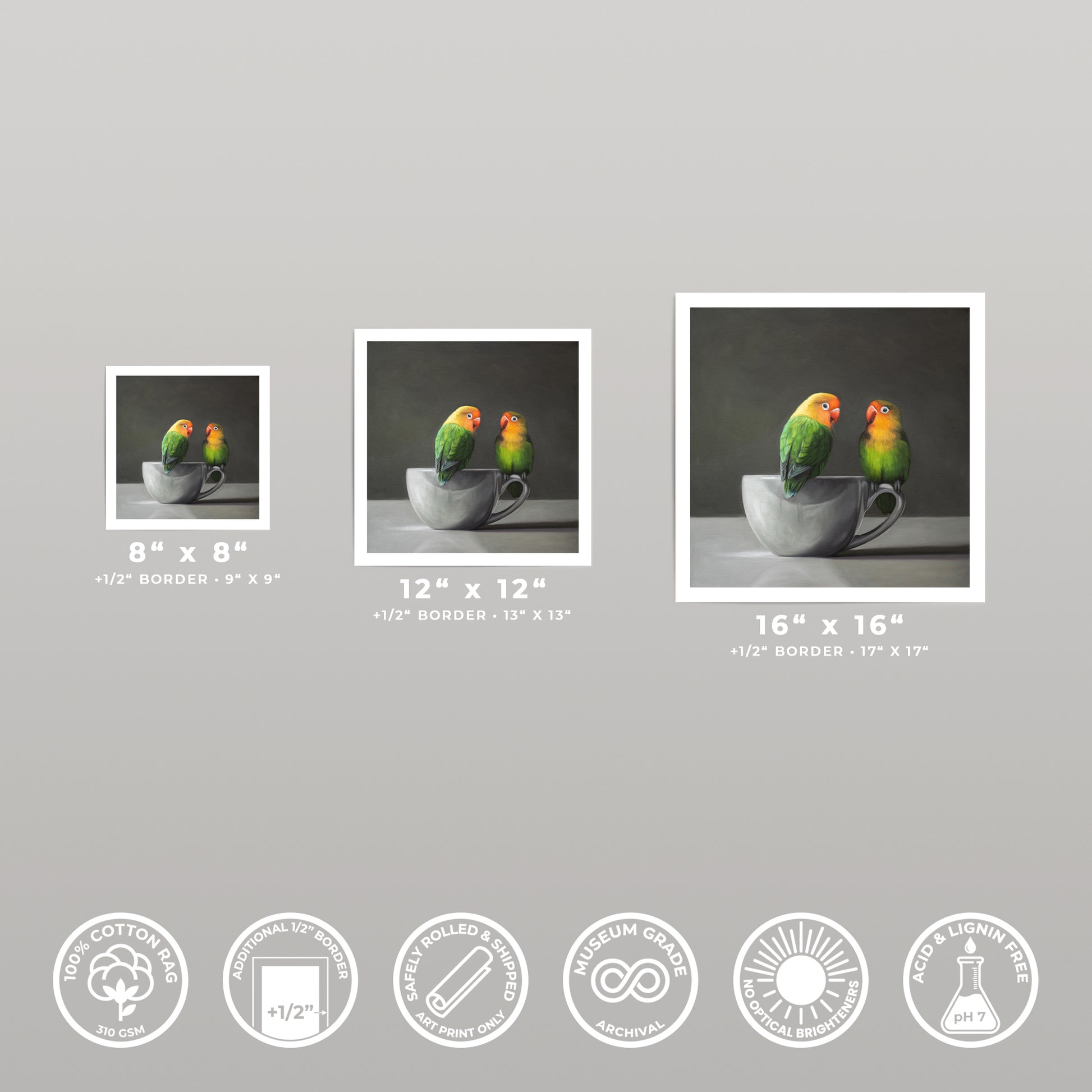 Three fine art prints of two green lovebirds perched on a gray porcelain cup, shown in 8x8, 12x12, and 16x16 sizes.