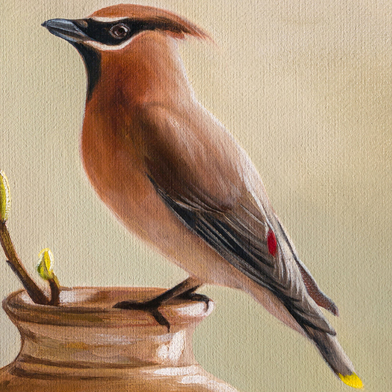 Magnolia & Waxwing 11" x 14" Original Oil Painting by Lauren Pretorius: three green pears with brown stems on a reflective surface and gray background