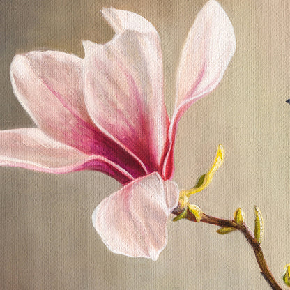 Magnolia & Waxwing 11" x 14" Original Oil Painting by Lauren Pretorius: three green pears with brown stems on a reflective surface and gray background