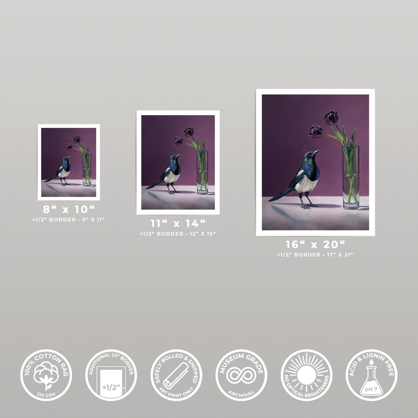 Fine art print of a magpie next to dark purple tulips in a vase, available in multiple sizes.