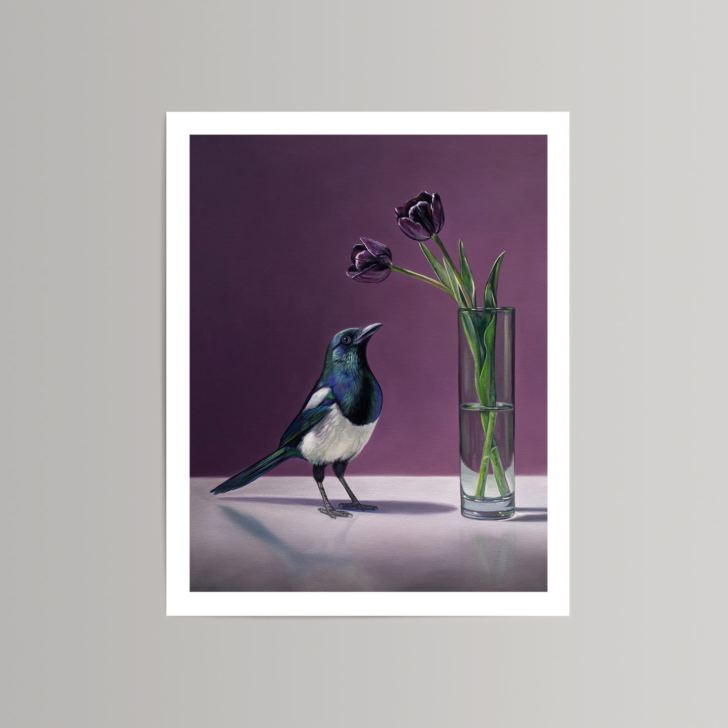 Fine art print of a black and white magpie looking at two dark purple tulips in a clear glass vase.