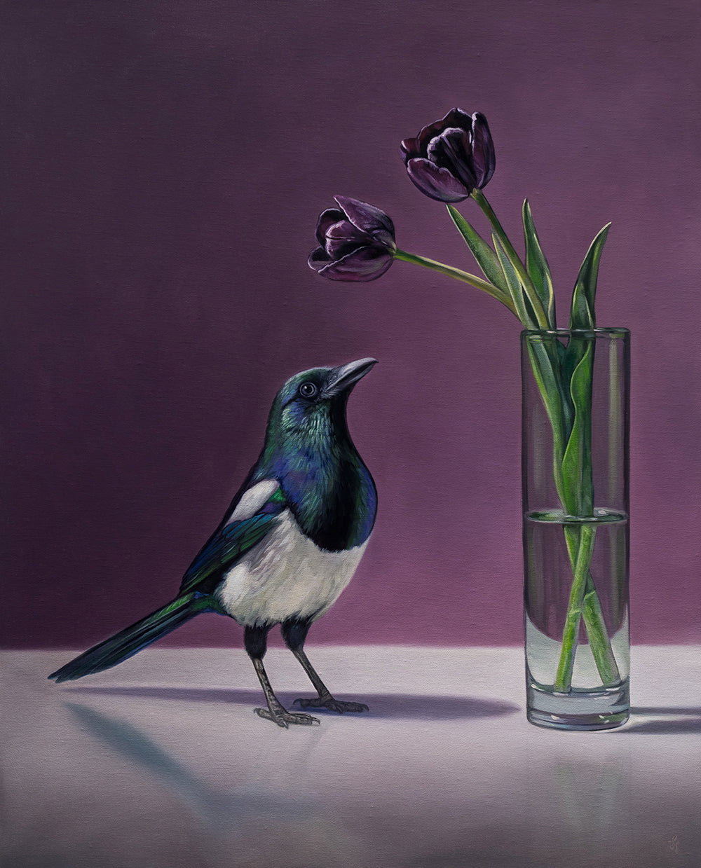 Magpie standing next to a vase with a pair of queen of the night tulips on a purple background by Lauren Pretorius.