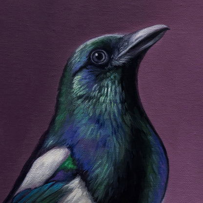 Magpie standing next to a vase with a pair of queen of the night tulips on a purple background by Lauren Pretorius.