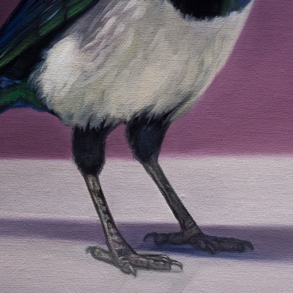 Magpie standing next to a vase with a pair of queen of the night tulips on a purple background by Lauren Pretorius.