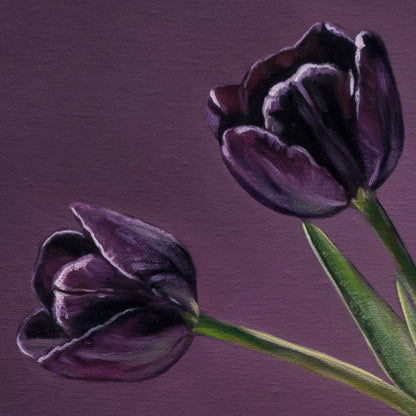 Magpie standing next to a vase with a pair of queen of the night tulips on a purple background by Lauren Pretorius.