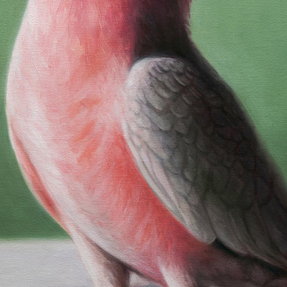 Mimicry in Pink 16" x 20" Original Oil Painting by Lauren Pretorius: a Pink cockatoo next to a pink Asiatic Lily flower in a clear vase on a green background