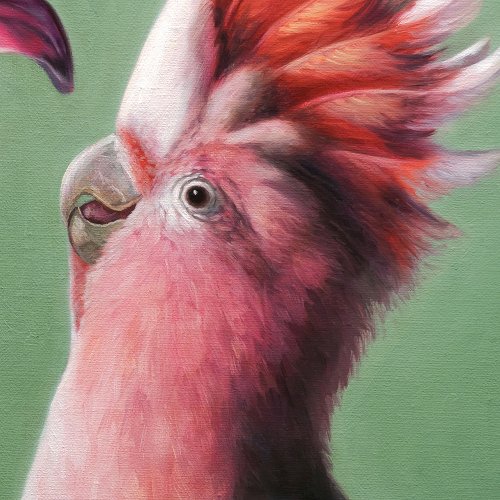 Mimicry in Pink | 16