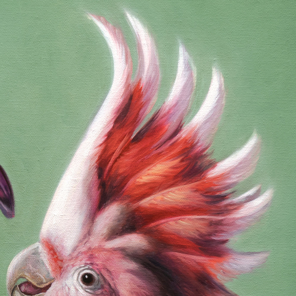 Mimicry in Pink 16" x 20" Original Oil Painting by Lauren Pretorius: a Pink cockatoo next to a pink Asiatic Lily flower in a clear vase on a green background