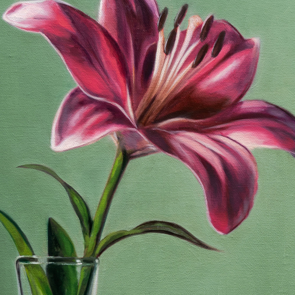 Mimicry in Pink | 16