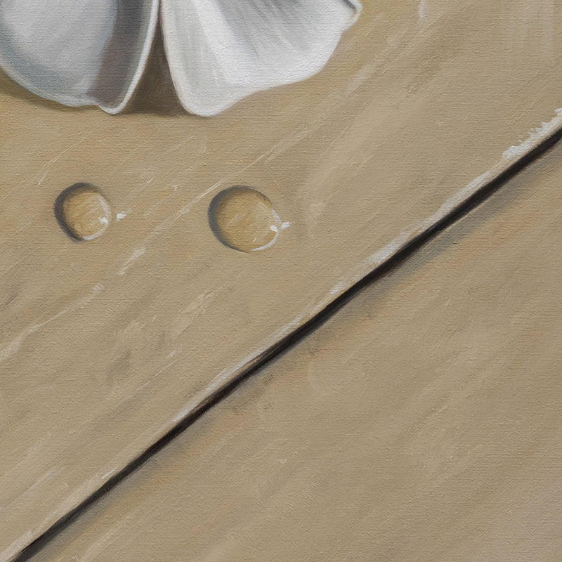 Napili Shores Plumerias • 16 x 16