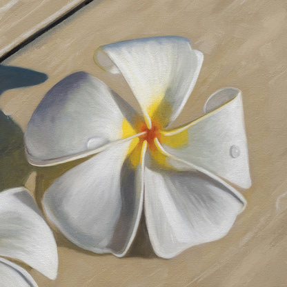 Napili Shores Plumerias • 16 x 16