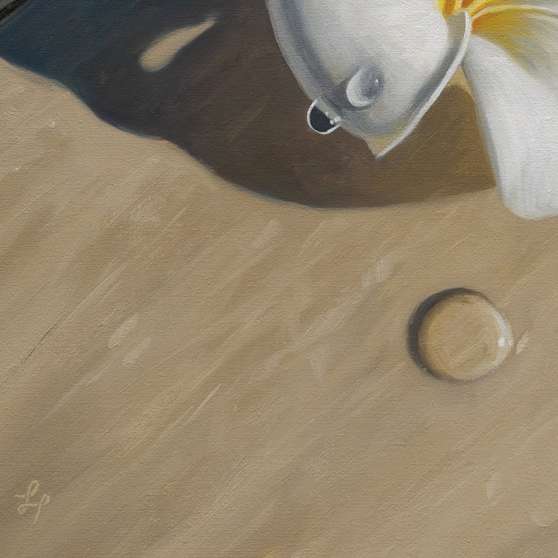 Napili Shores Plumerias • 16 x 16