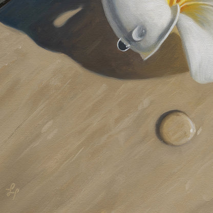 Napili Shores Plumerias • 16 x 16