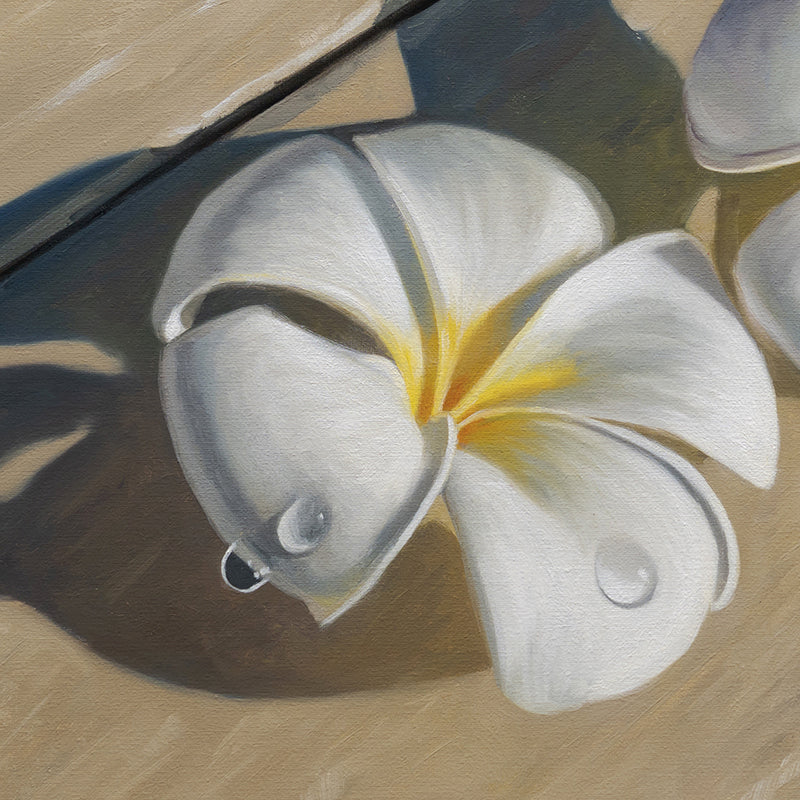 Napili Shores Plumerias • 16 x 16